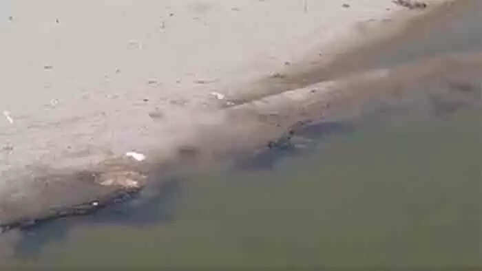 യമുന നദിയിലൂടെ മൃതദേഹങ്ങൾ ഒഴുകിവരുന്നു: ഭീതിയോടെ പ്രദേശവാസികൾ