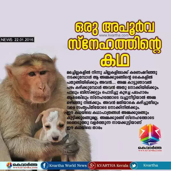 ഒരു അപൂര്വ സ്നേഹത്തിന്റെ കഥ
