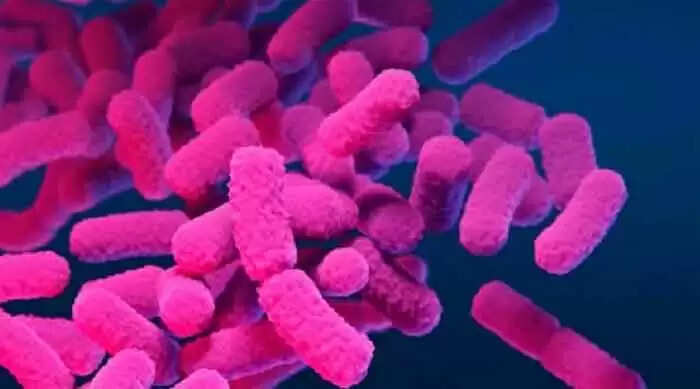 ഷിഗല്ല; എറണാകുളം ജില്ലയില് മുന്കരുതല് നടപടികള് സ്വീകരിച്ചതായി ജില്ലാ ഭരണകൂടം