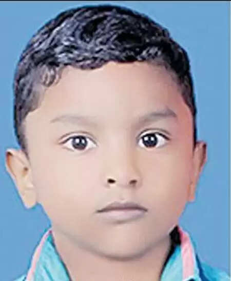 മരച്ചീനി പറിക്കുന്നതിനിടെ വൈദ്യുതാഘാതമേറ്റു തെറിച്ചുവീണ മുത്തശ്ശിയെ രക്ഷിക്കാന് ശ്രമിക്കുന്നതിനിടെ നാലുവയസുകാരന് ദാരുണാന്ത്യം