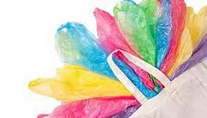 Plastic Ban | ശാർജയിൽ ഒറ്റത്തവണ ഉപയോഗിക്കാവുന്ന പ്ലാസ്റ്റിക് ബാഗുകൾ 2024 ജനുവരി 1 മുതൽ നിരോധിക്കും