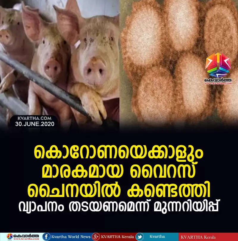 കൊറോണയെക്കാളും മാരകമായ വൈറസ് ചൈനയില് കണ്ടെത്തി; വ്യാപനം തടയണമെന്ന് മുന്നറിയിപ്പ്