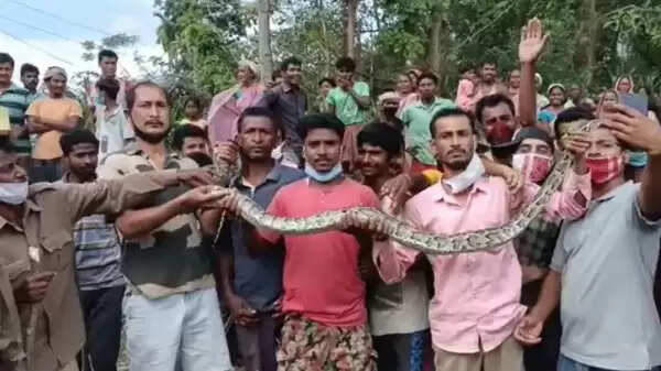പെരുമ്പാമ്പിനൊപ്പം സെല്ഫിയെടുക്കാന് ആളുകള് കൂട്ടത്തോടെ വീടിന് പുറത്തിറങ്ങി; ലോക് ഡൗണ് ലംഘനത്തിന് കേസ്
