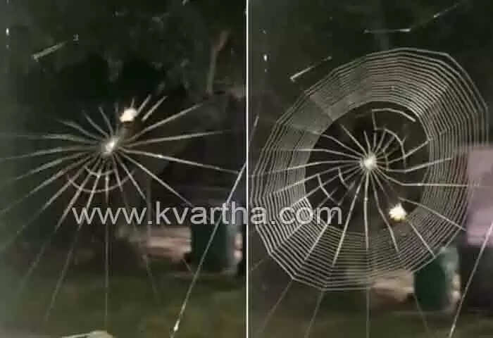 Spider | ചിലന്തി വല നെയ്യുന്നത് കണ്ടിട്ടുണ്ടോ? അതിശയിപ്പിക്കുന്ന വീഡിയോ വൈറലോട് വൈറല്; പ്രകൃതി അത്ഭുതകരമെന്ന് നെറ്റിസണ്സ്