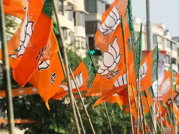 ആലപ്പുഴ പീഡനം; ഉന്നത ഉദ്യോഗസ്ഥരെ ഒഴിവാക്കി കേസ് ഒതുക്കി തീര്ക്കുന്നു, മഹിളാ മോര്ച്ച