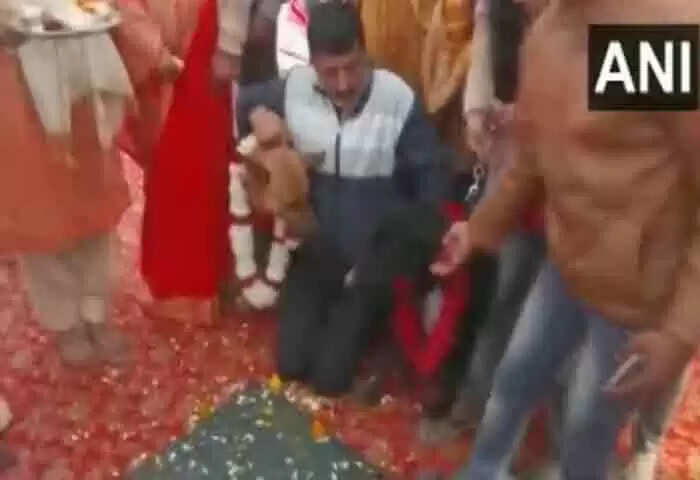 Dog Wedding | വിചിത്രം: പരമ്പരാഗത ഇന്ഡ്യന് വിവാഹത്തിന്റെ എല്ലാ ആചാരങ്ങളോടും കൂടി നായ്ക്കള തമ്മില് കെട്ടിച്ചു! പാട്ടും നൃത്തവുമായി ചടങ്ങുകളും ആഘോഷമാക്കി ഉടമകള്, വൈറലായി വീഡിയോ