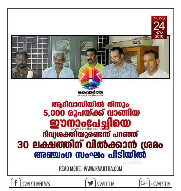 ആദിവാസിയില് നിന്നും 5,000 രൂപയ്ക്ക് വാങ്ങിയ ഈനാംപേച്ചിയെ ദിവ്യശക്തിയുണ്ടെന്ന് പറഞ്ഞ് 30 ലക്ഷത്തിന് വില്ക്കാന് ശ്രമം; അഞ്ചംഗ സംഘം പിടിയില്