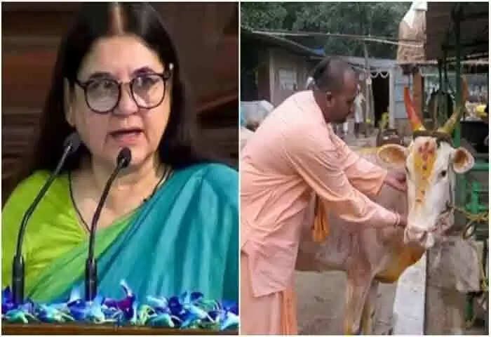 Defamation Notice | 'രാജ്യത്തെ കൊടും വഞ്ചകര്, ഗോശാലയില്നിന്ന് പശുക്കളെ കശാപ്പുക്കാര്ക്ക് വില്ക്കുന്നു'; വിവാദ പരാമര്ശത്തില് മേനക ഗാന്ധിയോട് 100 കോടി രൂപ നഷ്ടപരിഹാരം ആവശ്യപ്പെട്ട് ഇസ്കോണ്