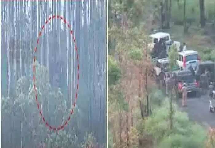 Arikkomban | അരിക്കൊമ്പന് നില്ക്കുന്ന സ്ഥലം നിര്ണയിച്ചു; വളഞ്ഞ് ദൗത്യസംഘം; ഉടന് മയക്കുവെടി വയ്ക്കും; വാര്ഡുകളില് നിരോധനാജ്ഞ