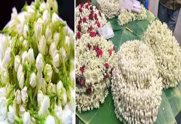 Fine | മുഴം അളവുകോല് അല്ലെന്ന് ലീഗല് മെട്രോളജി വകുപ്പ്; മുല്ലപ്പൂ വിറ്റതിന് പിഴ