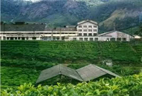 സര്ക്കാര് ഭൂപരിഷ്കരണ നിമയം കര്ശനമാക്കുമ്പോഴും കണ്ണുവെട്ടിച്ച് രാജഗിരി എസ്റ്റേറ്റിലെ 278 ഏക്കര് സ്വകാര്യ കമ്പനിക്ക് വിറ്റു