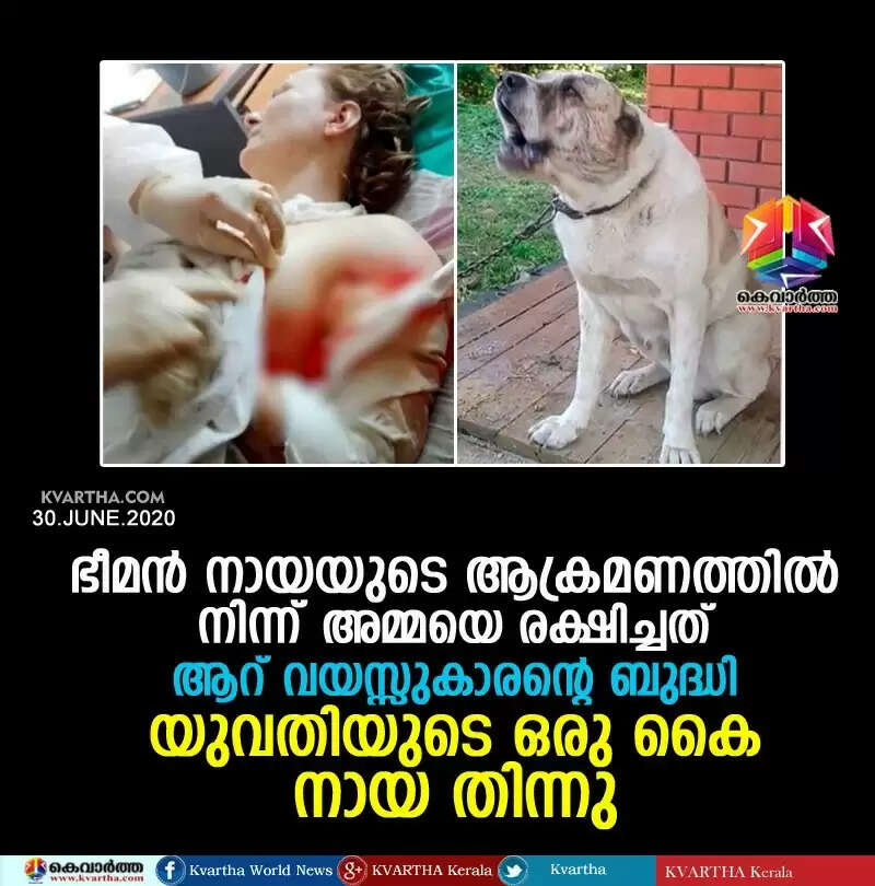 ഭീമന് നായയുടെ ആക്രമണത്തില് നിന്ന് അമ്മയെ രക്ഷിച്ചത് ആറ് വയസ്സുകാരന്റെ ബുദ്ധി; യുവതിയുടെ ഒരു കൈ നായ തിന്നു
