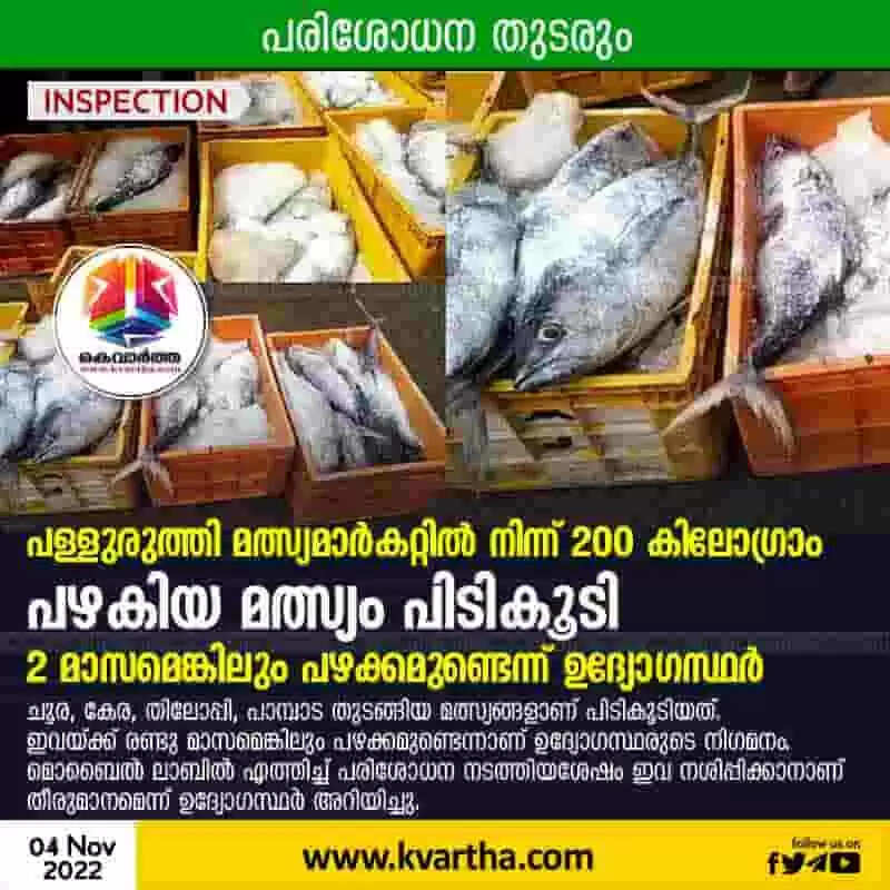 Old fish | പള്ളുരുത്തി മത്സ്യമാര്കറ്റില് നിന്ന് 200 കിലോഗ്രാം പഴകിയ മത്സ്യം പിടികൂടി; 2 മാസമെങ്കിലും പഴക്കമുണ്ടെന്ന് ഉദ്യോഗസ്ഥര്