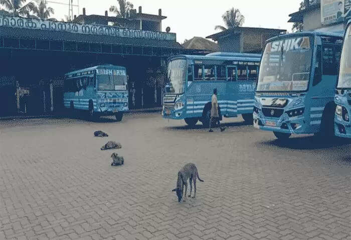 Bus Strike | കന്ഡക്ടറെ പോക്സോ ചുമത്തി അറസ്റ്റ് ചെയ്തതില് പ്രതിഷേധിച്ച് തലശേരി, പാനൂര് മേഖലകളില് പ്രഖ്യാപിച്ച സ്വകാര്യ ബസ് പണിമുടക്ക് പിന്വലിച്ചു