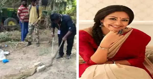 'തികച്ചും വൃത്തിഹീനമായ സാഹചര്യത്തിലാണ് നമ്മുടെ നാട്ടിലെ ആശുപത്രികള് പ്രവര്ത്തിക്കുന്നത്'; ജ്യോതിക വിമര്ശിച്ച സര്ക്കാര് ആശുപത്രിയില് നിന്നും പിടികൂടിയത് 11 പാമ്പുകളെ
