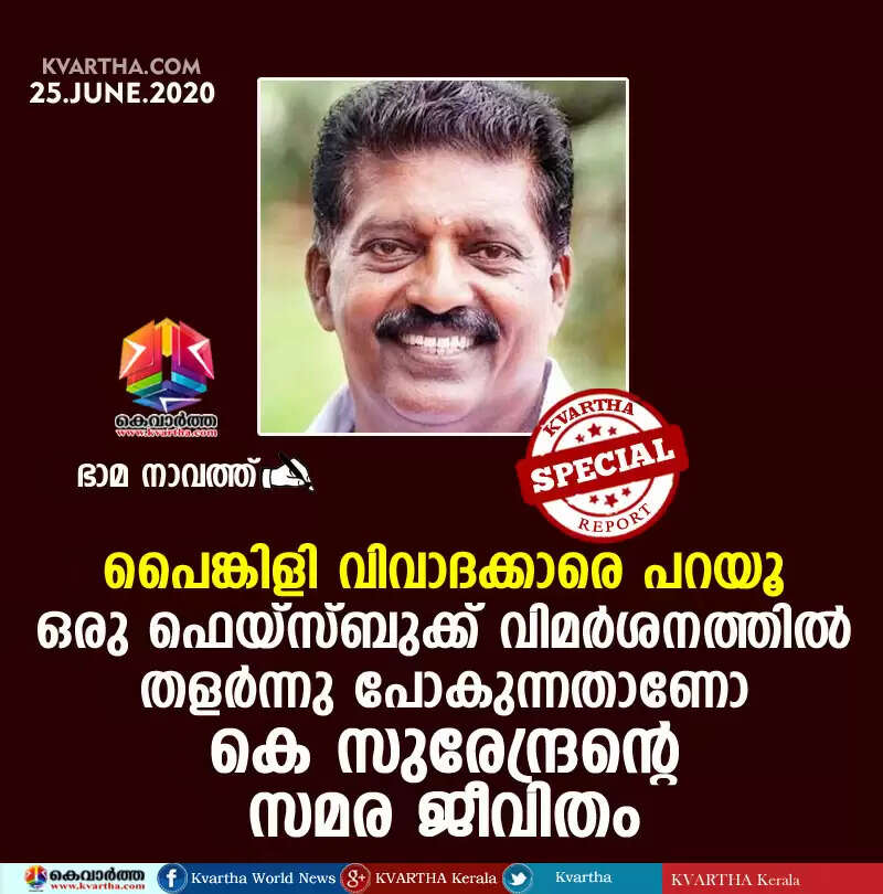 പൈങ്കിളി വിവാദക്കാരെ പറയൂ... ഒരു ഫെയ്സ്ബുക്ക് വിമര്ശനത്തില് തളര്ന്നു പോകുന്നതാണോ കെ സുരേന്ദ്രന്റെ സമര ജീവിതം