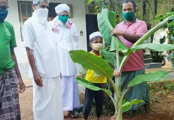 എസ് വൈ എസ് വീട്ടുമുറ്റത്തൊരു കൃഷി പദ്ധതി തുടങ്ങി
