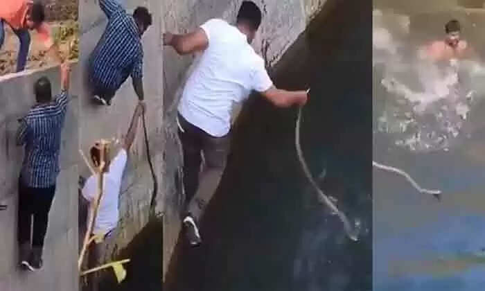 മൂര്ഖന് പാമ്പിനെ രക്ഷിക്കാന് കിണറ്റില് ചാടി യുവാവ്; കട്ടയ്ക്ക് കൂടെ നിന്ന് 3 കൂട്ടുകാരും; യുവാക്കളുടെ ധീരതയും മാനുഷിക മൂല്യവും എടുത്തുകാട്ടുന്ന വിഡിയോ വൈറല്