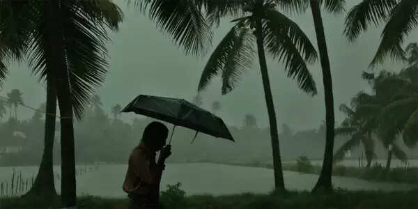 കേരളത്തിൽ ഇടിമിന്നലും ശക്തമായ കാറ്റും തുടരുന്ന സാഹചര്യത്തിൽ പൊതുജനങ്ങളും ബന്ധപ്പെട്ടവരും പ്രത്യേക ജാഗ്രത പാലിക്കണമെന്ന് ദുരന്ത നിവാരണ അതോറിറ്റി