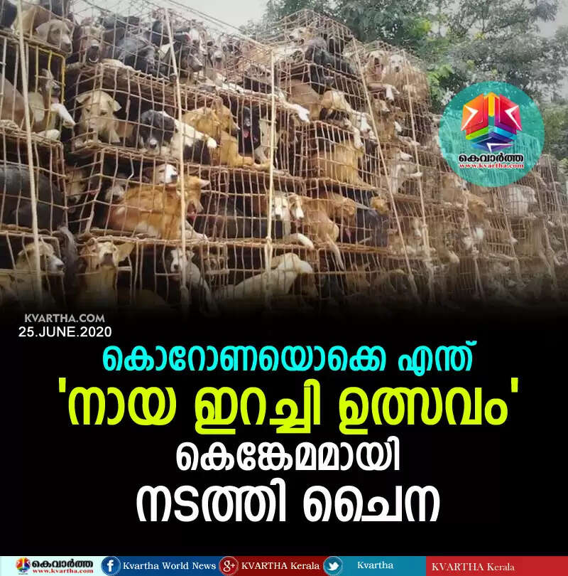 കൊറോണയൊക്കെ എന്ത്; 'നായ ഇറച്ചി ഉത്സവം' കെങ്കേമമായി നടത്തി ചൈന
