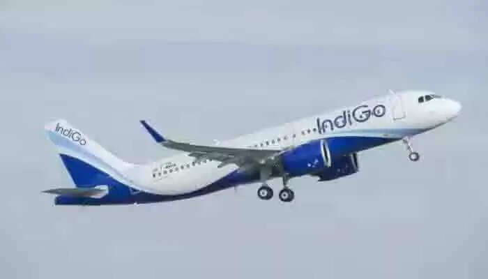 Indigo | സുരക്ഷാ വീഴ്ച: ഇന്ഡിഗോ വിമാനത്തിലെ എമര്ജന്സി വാതില് തുറന്ന് യാത്രക്കാരന്, അന്വേഷണത്തിന് ഉത്തരവിട്ട് ഡിജിസിഎ
