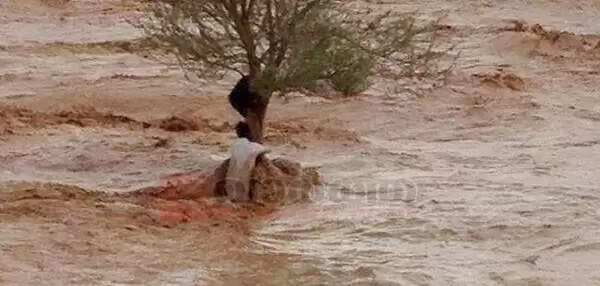 സൗദിയില് വെള്ളപ്പൊക്കത്തില് കാണാതായ 50 കാരിയുടെ മ്യതദേഹം നജ്രാനിലെ താഴ്വരയില് കണ്ടെത്തി