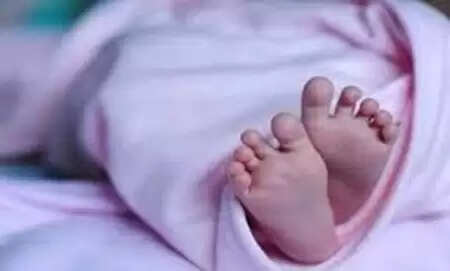 സൗദിയില് നിന്നെത്തി മണിക്കൂറുകള്ക്കുള്ളില് കുഞ്ഞിന് ജന്മം നല്കി പാലക്കാട് സ്വദേശിനി; കരുതലോടെ ആരോഗ്യവകുപ്പ്
