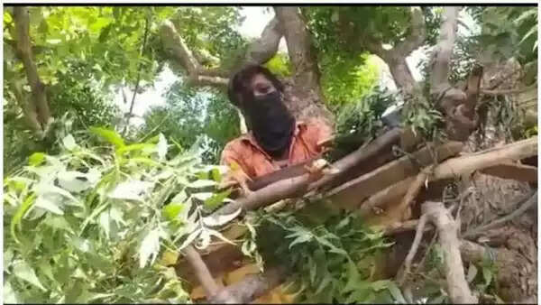 വീട്ടിലിരിക്കാന് സ്ഥലമില്ലേലും വേപ്പ് മരത്തില് ഇടമുണ്ട്; ശാരീരിക അകലം പാലിക്കാന് മരത്തിന് മുകളില് ക്വാറന്റൈനില് കഴിഞ്ഞ് മാതൃകയായി 18കാരന്
