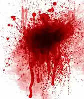 ആലുവയില് കാറില് പിന്തുടര്ന്ന സംഘം യുവാവിനെ തലക്കടിച്ചു കൊന്നു