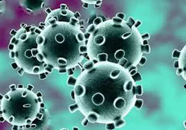 കണ്ണൂരിൽ അഞ്ച് തദ്ദേശസ്ഥാപനങ്ങള് റെഡ് സോണില്, ഏഴിടങ്ങള് ഓറഞ്ചില്, നിയന്ത്രണങ്ങള് ലംഘിച്ചാല് കടുത്ത ശിക്ഷ