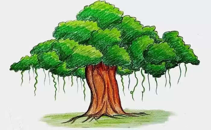 റോഡരികിലെ ആല്മരം തുരന്നു, മെര്ക്കുറി നിറച്ച് ഉണക്കാന് ശ്രമിച്ചു; കുറ്റവാളിയെ കണ്ടെത്തി നടപടി സ്വീകരിക്കണമെന്ന് നാട്ടുകാര്