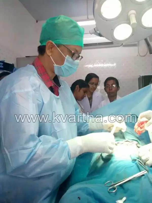 പെണ്പട്ടിയുടെ മൂത്രാശയ സഞ്ചിയില് നിന്നും കല്ലുകളുടെ ശേഖരം നീക്കം ചെയ്തു
