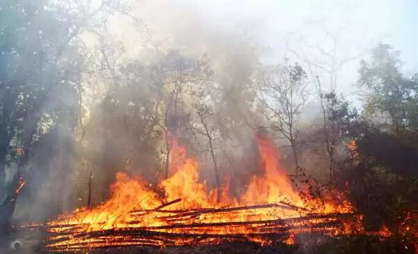 വയനാട്ടിലെ കാട്ടുതീ ക്രൈംബ്രാഞ്ച് അന്വേഷിക്കണം : വനം വിജിലന്സ്