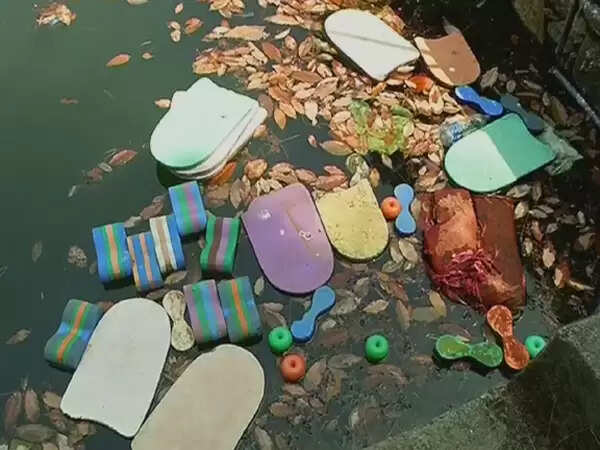 കായിക കേരളമേ ലജ്ജ തോന്നുന്നില്ലേ; നീന്തല്ക്കുളം പായല്മൂടി നശിക്കുന്നു