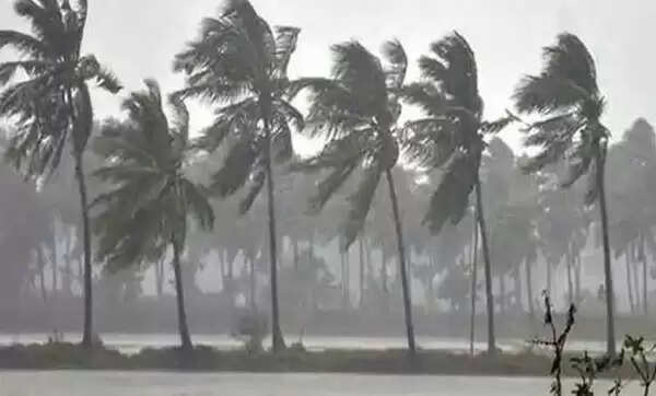 കൊരട്ടി മേഖലയില് കനത്ത മഴയിലും ചുഴലിക്കാറ്റിലും വന് നാശനഷ്ടം