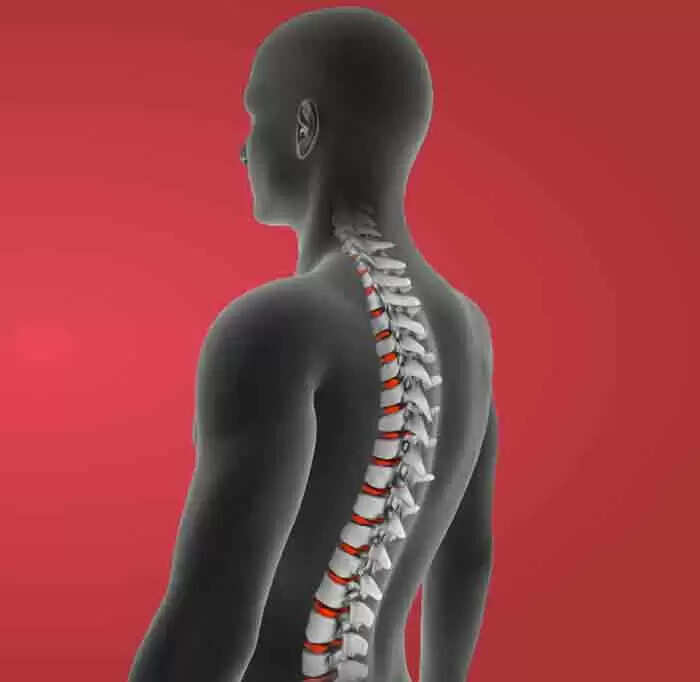 Osteoporosis | അസ്ഥിക്ഷയം കരുതിയിരിക്കാം; ലക്ഷണങ്ങൾ, തടയാൻ സഹായിക്കുന്ന 3 നല്ല ആരോഗ്യകരമായ ശീലങ്ങൾ, വിശദമായി അറിയാം