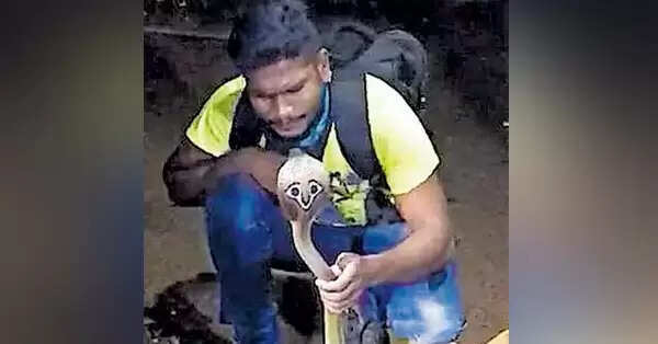 കൈക്കു കടിയേറ്റെങ്കിലും കാര്യമാക്കാതെ മൂര്ഖനെ കാഴ്ചക്കാര്ക്കു വേണ്ടി പ്രദര്ശിപ്പിച്ചു; വായില് നിന്നു നുരയും പതയും വന്നതിനു പിന്നാലെ കുഴഞ്ഞുവീണു; പാമ്പുപിടിത്തക്കാരനു സംഭവിച്ചത് ദാരുണമായ മരണം