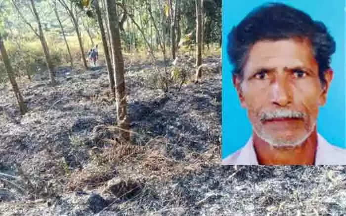 Accidental Death | റബര് തോട്ടത്തിലെ കരിയില കത്തിക്കാന് പോയ ഗൃഹനാഥന് തീയിലകപ്പെട്ട് മരിച്ചു