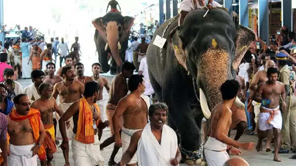ഗുരൂവായൂര് ആനയോട്ടത്തില് 25 ഗജവീരന്മാര് പങ്കെടുക്കും