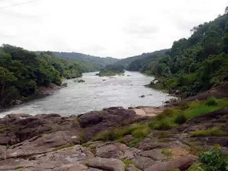 പമ്പ, അച്ചന്കോവില്, മണിമല, കല്ലട നദികള് വറ്റുന്നു; പത്തനംതിട്ട കടുത്ത വരള്ച്ചയിലേക്ക്