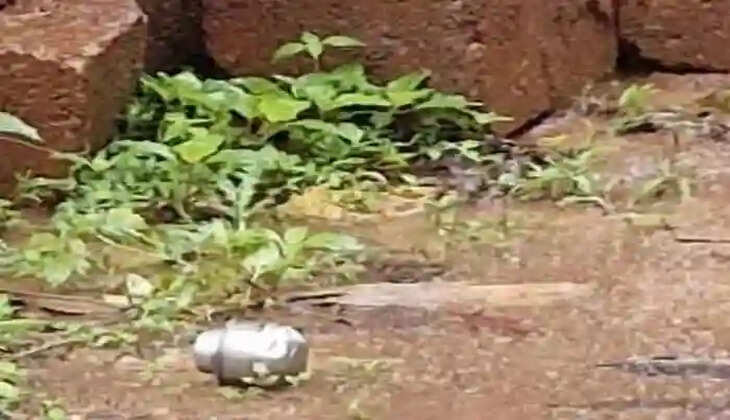 Police files KAAPA against 4 accused in Panur bomb blast case, Kannur, News, KAAPA, Police, Charge sheet, Accused, Criticism, Bail, Kerala Newes