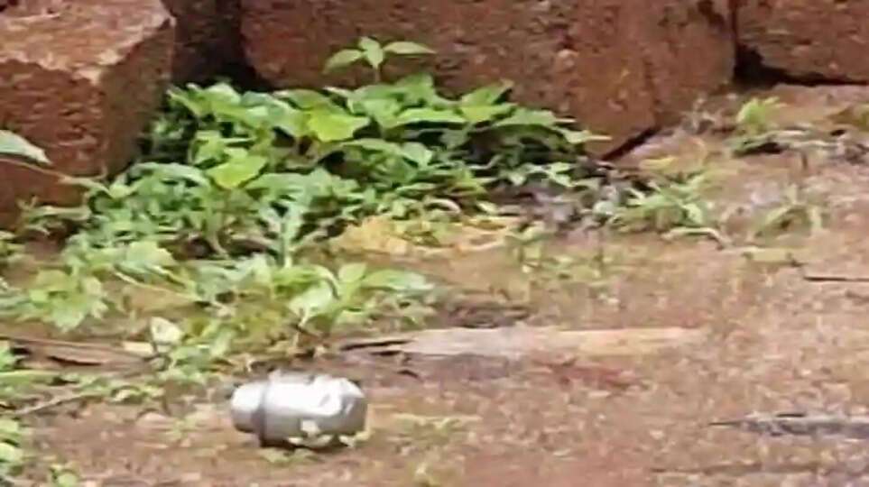 Police files KAAPA against 4 accused in Panur bomb blast case, Kannur, News, KAAPA, Police, Charge sheet, Accused, Criticism, Bail, Kerala Newes