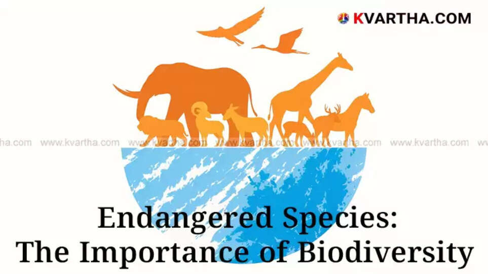 Image depicting diverse flora and fauna, symbolizing biodiversity.