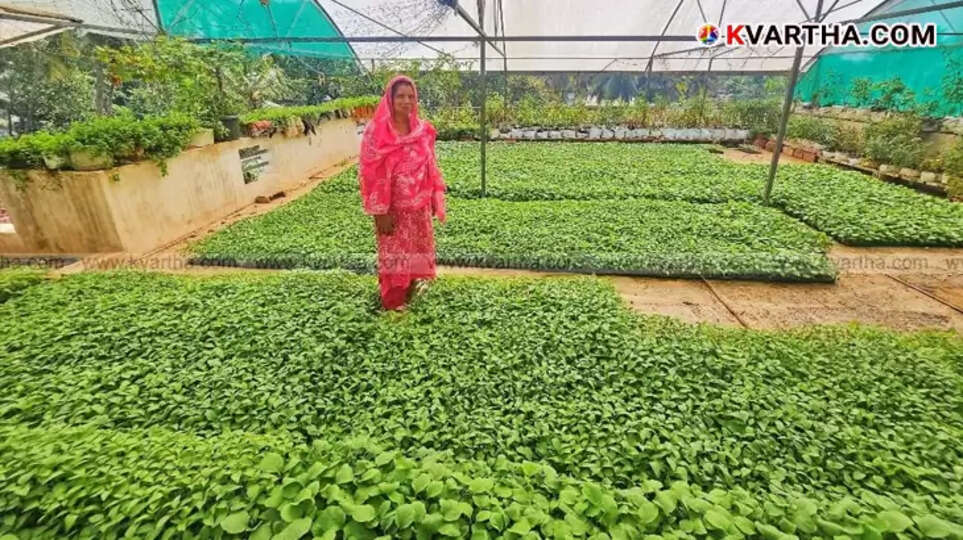 Aisha on her terrace with mint plants in grow bags.