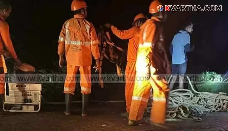 Tourist Dies After Falling 200 Feet into Gorge in Vagamon's Chathanpara Area
