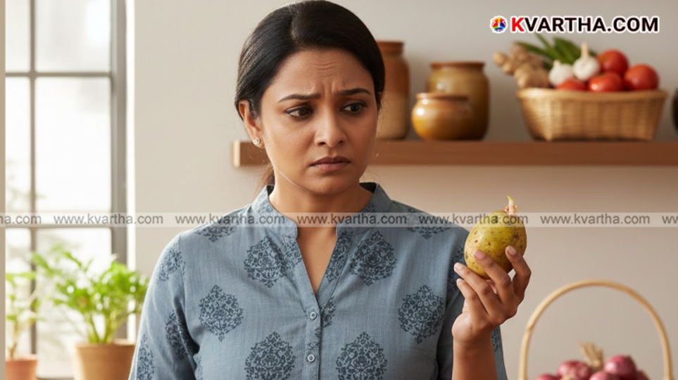 Sprouted green potatoes showing high solanine content with warning signs.