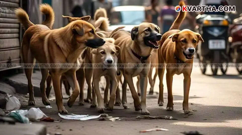  Photo of seven-year-old Niya Faisal who died due to rabies in Kerala.