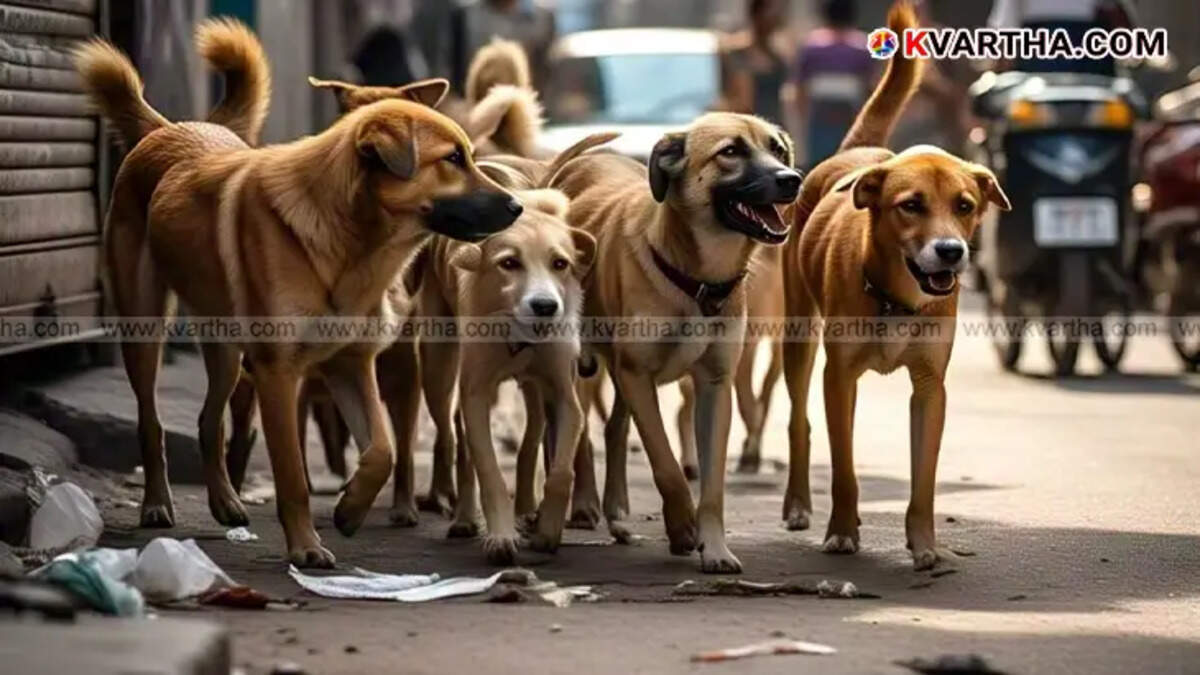  Photo of seven-year-old Niya Faisal who died due to rabies in Kerala.