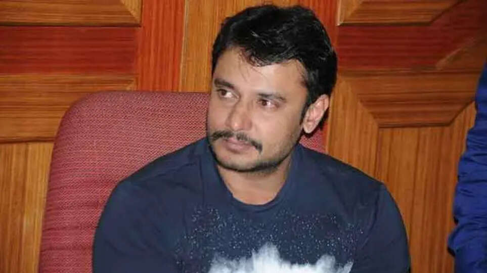 Kannada Actor Darshan Granted Interim Bail in Murder Case