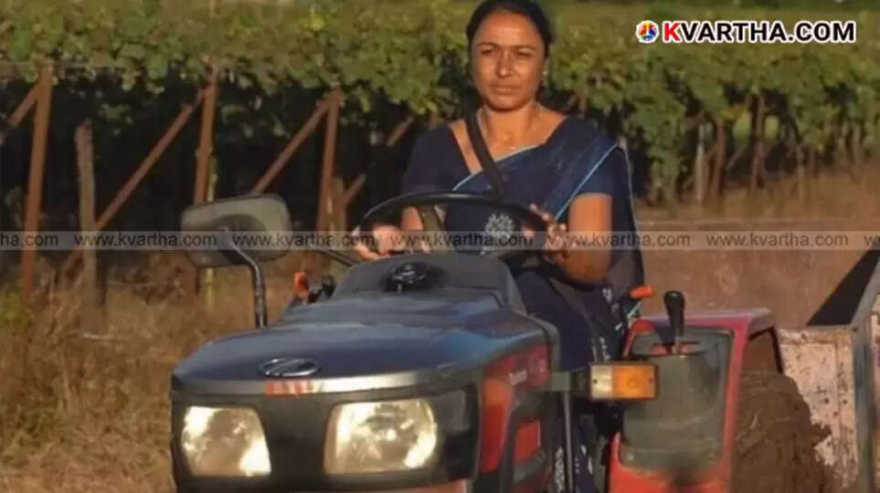 Sangeeta Pingale farming in Nashik, success story, agriculture, resilience